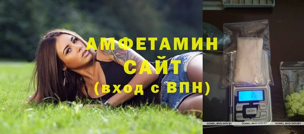 ПСИЛОЦИБИНОВЫЕ ГРИБЫ Горняк