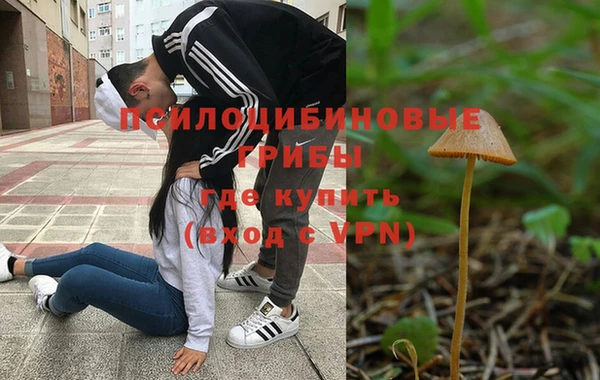 амф Горнозаводск