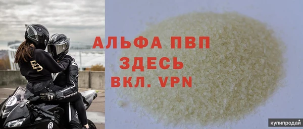 ПСИЛОЦИБИНОВЫЕ ГРИБЫ Горняк