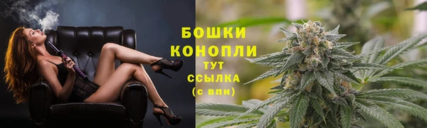 амф Горнозаводск