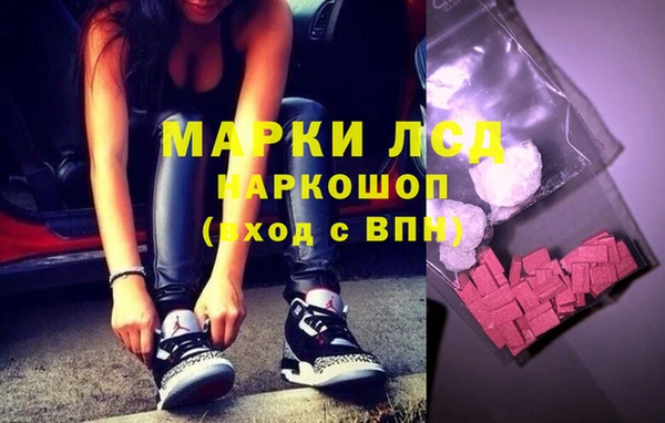 ПСИЛОЦИБИНОВЫЕ ГРИБЫ Горняк