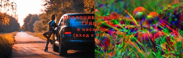амф Горнозаводск