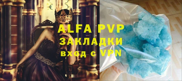 ПСИЛОЦИБИНОВЫЕ ГРИБЫ Горняк