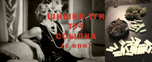 ПСИЛОЦИБИНОВЫЕ ГРИБЫ Горняк